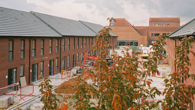 A tree outside some redbrick houses