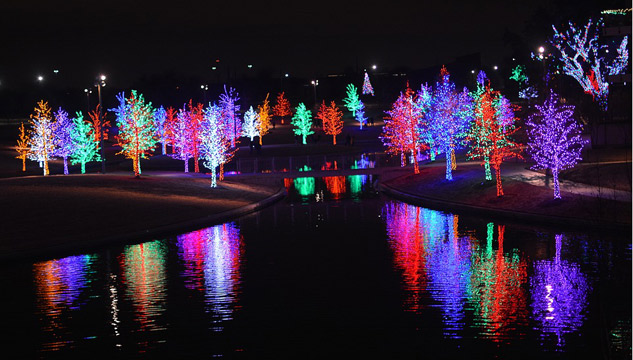 Image of Christmas trees lit up in mauve, blue, green and red, reflected in water