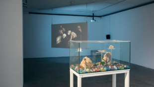 Sources (installation image) curated by Castlefield Gallery Associate Joe Preston. Image courtesy Annie Feng