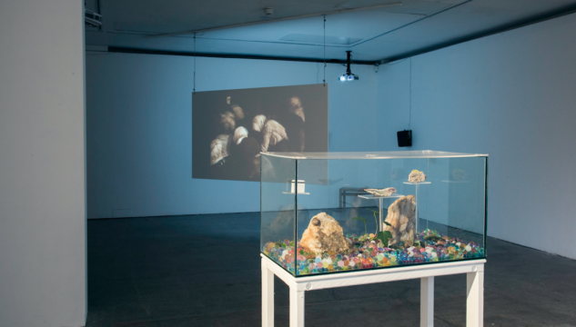 Sources (installation image) curated by Castlefield Gallery Associate Joe Preston. Image courtesy Annie Feng