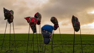 Image of cloth fetishes in a field against a dramatic sky