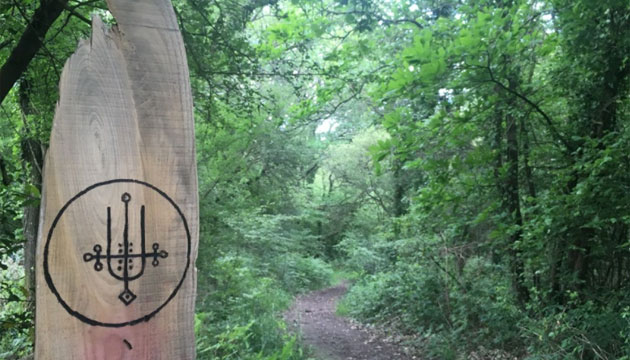 Black sigil drawn onto piece of wood in a forest