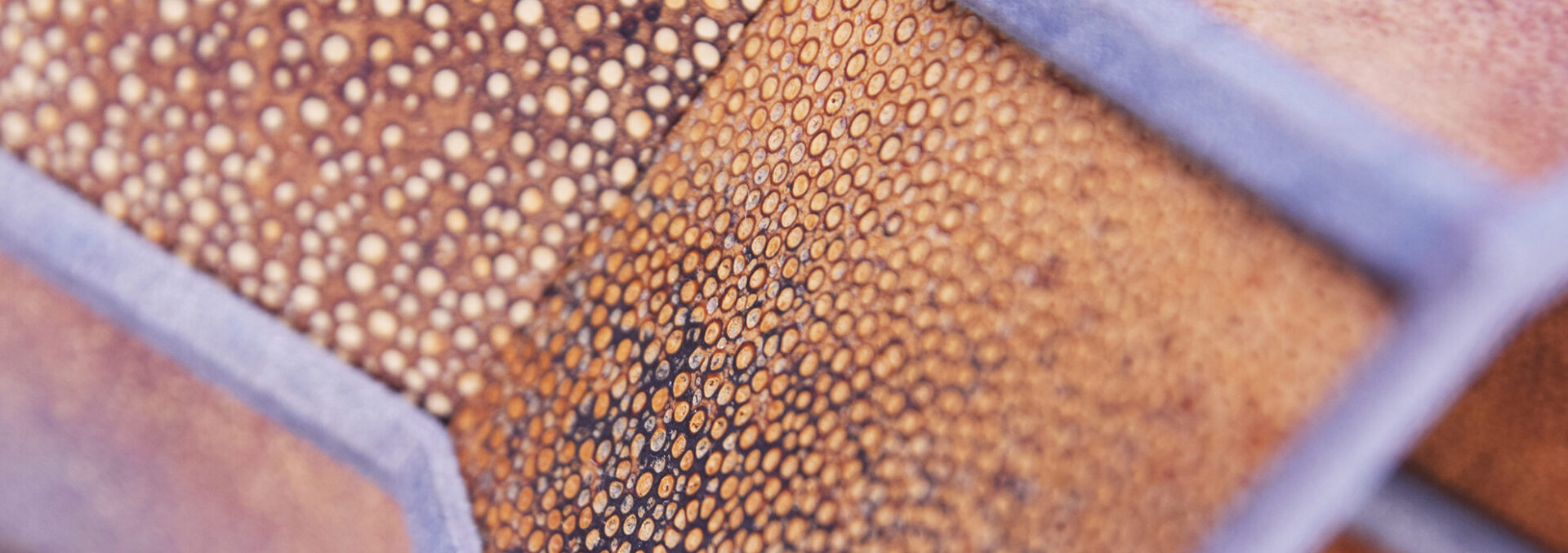 textured orange sculptural form