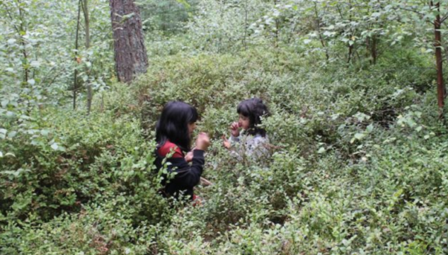 Two children stood close together smeling leaves in dense foliage/woodland
