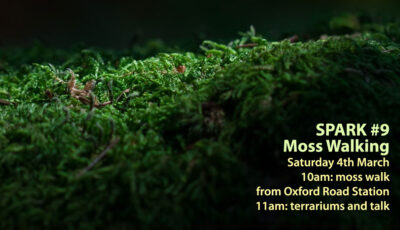 Close-up image of green moss with text sayins SPARK 9: Moss Walking Saturday 4th March 10am: moss walk from Oxford Road Station 11am: terrariums and talk