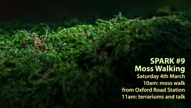 Close-up image of green moss with text sayins SPARK 9: Moss Walking Saturday 4th March 10am: moss walk from Oxford Road Station 11am: terrariums and talk