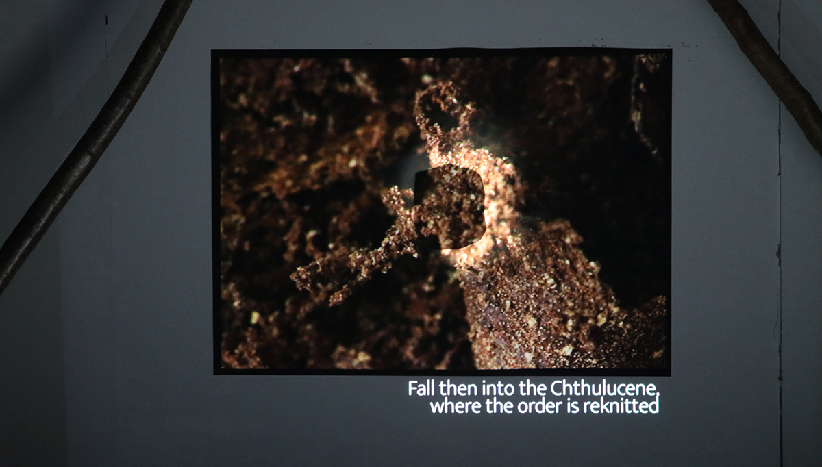 Spotlight Artists and Sustainability Jane Lawson Castlefield Gallery