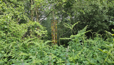Tree surrounded by sculpture of red, yellow and black spheres