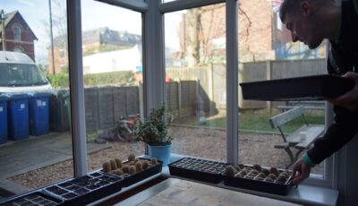 A person places a seed tray on a windowsill filled with multiple other trays containing seedling pods, with a small potted plant in the middle and a garden visible through the window.