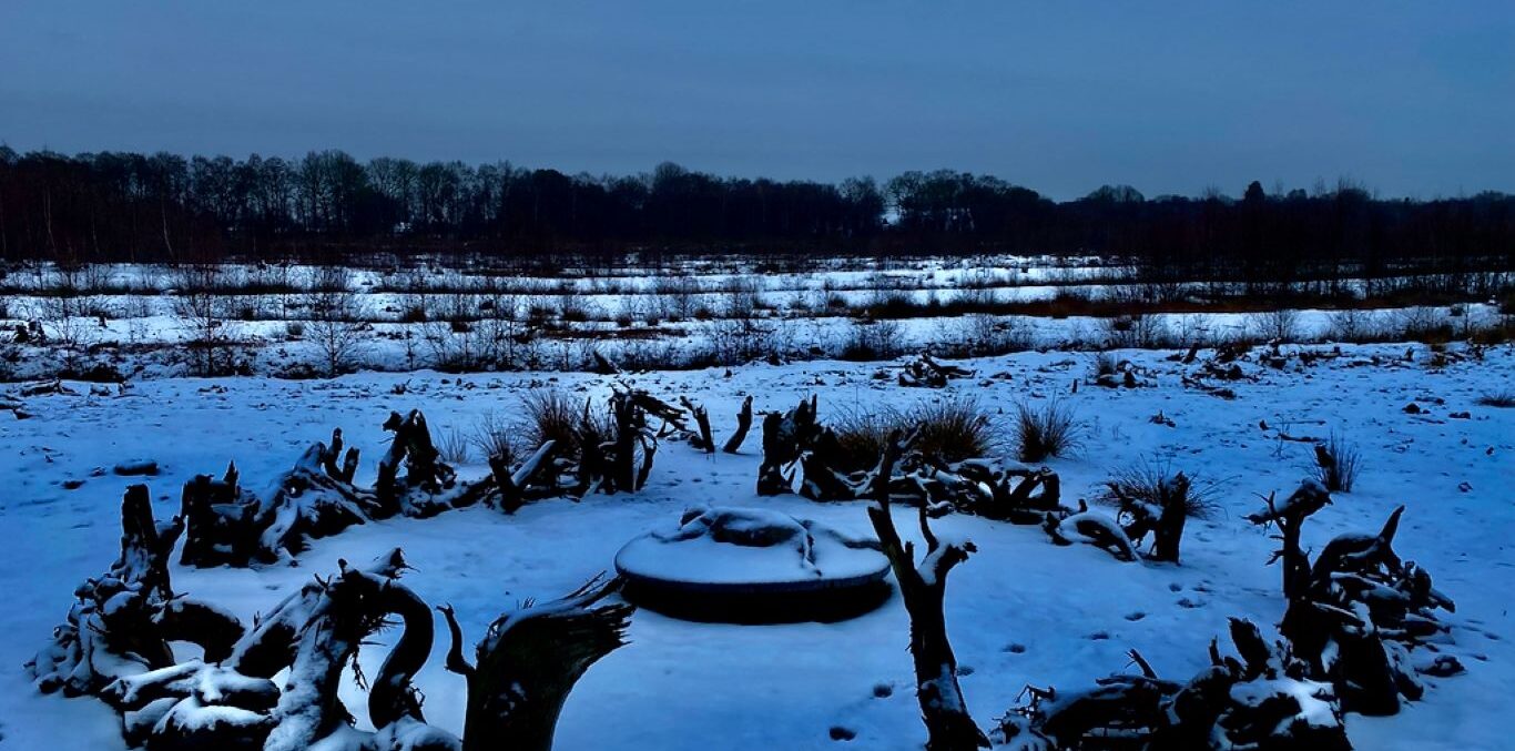 a snowy field at night, wood and bark from trees are positioned in a circle, with a central piece. It evokes a stone-circle or other sacred sites