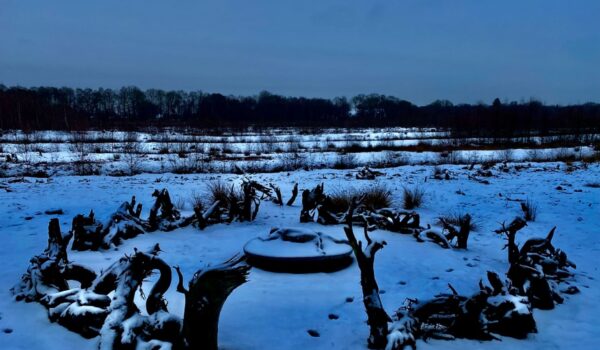 a snowy field at night, wood and bark from trees are positioned in a circle, with a central piece. It evokes a stone-circle or other sacred sites