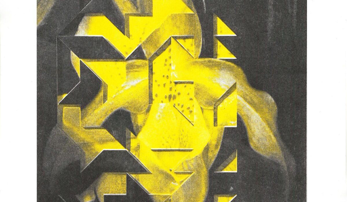 Postcard of abstract yellow flower set against black background and white border.