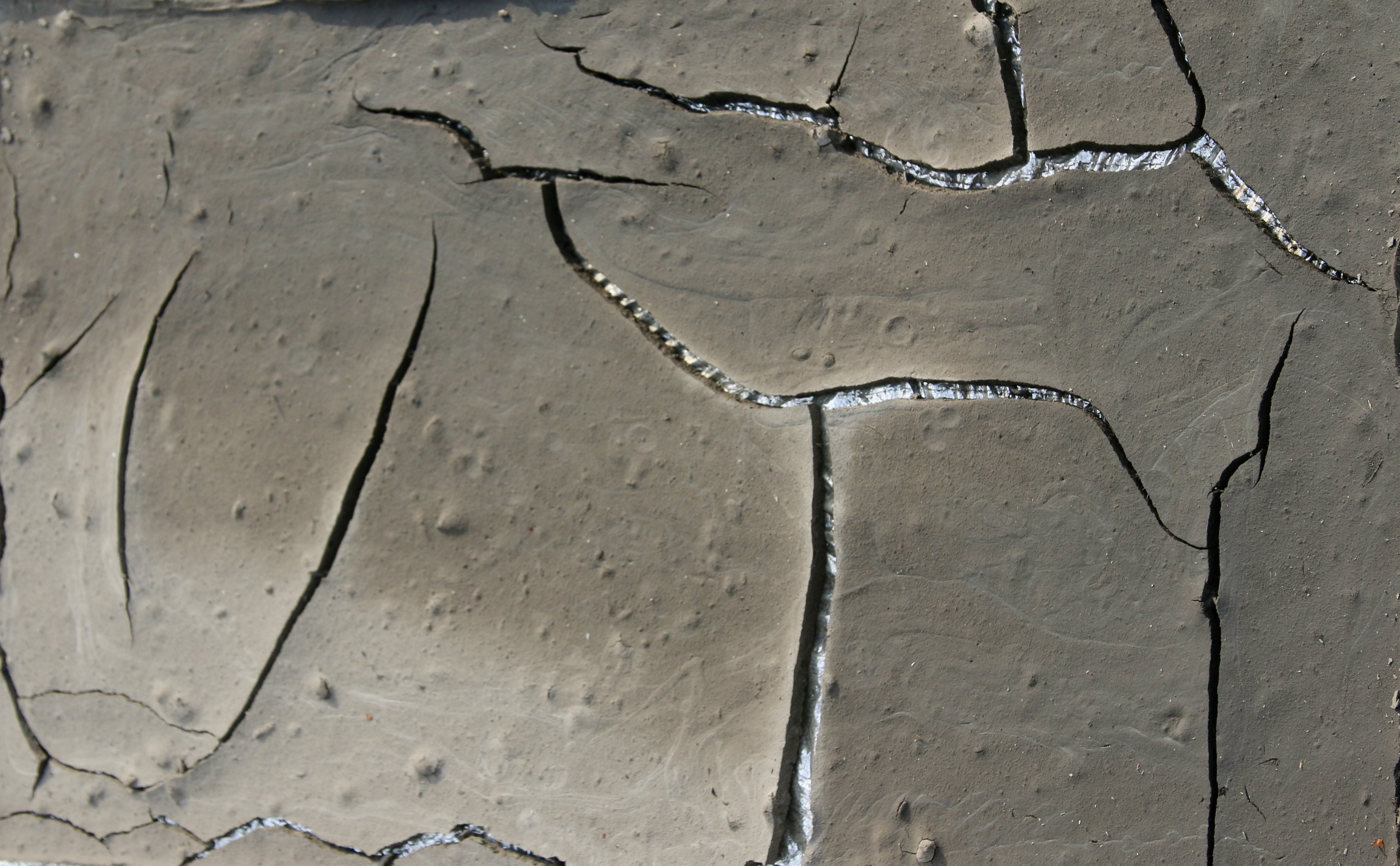 Ashleigh Beattie image