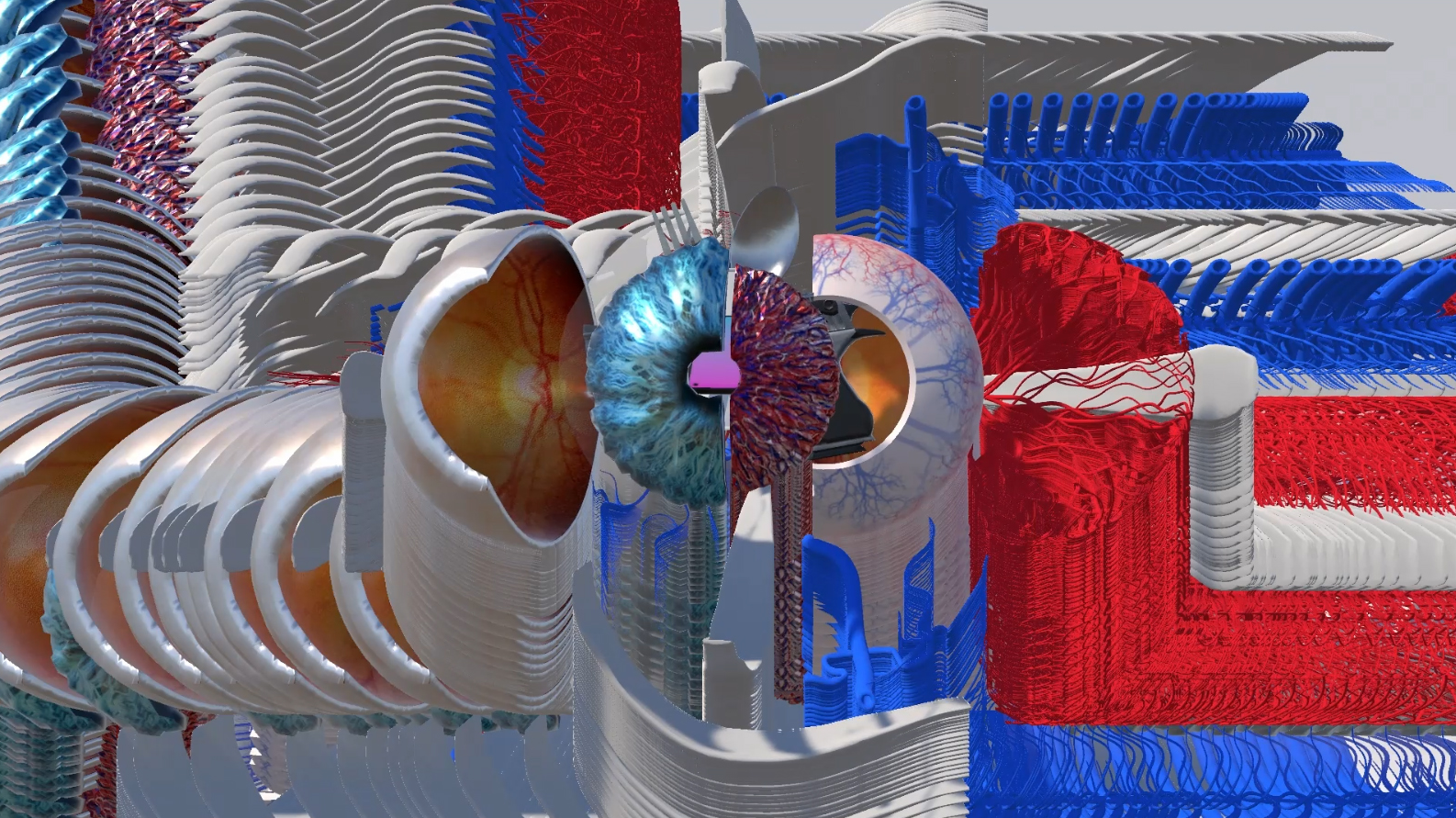 Armelle Skatulski image