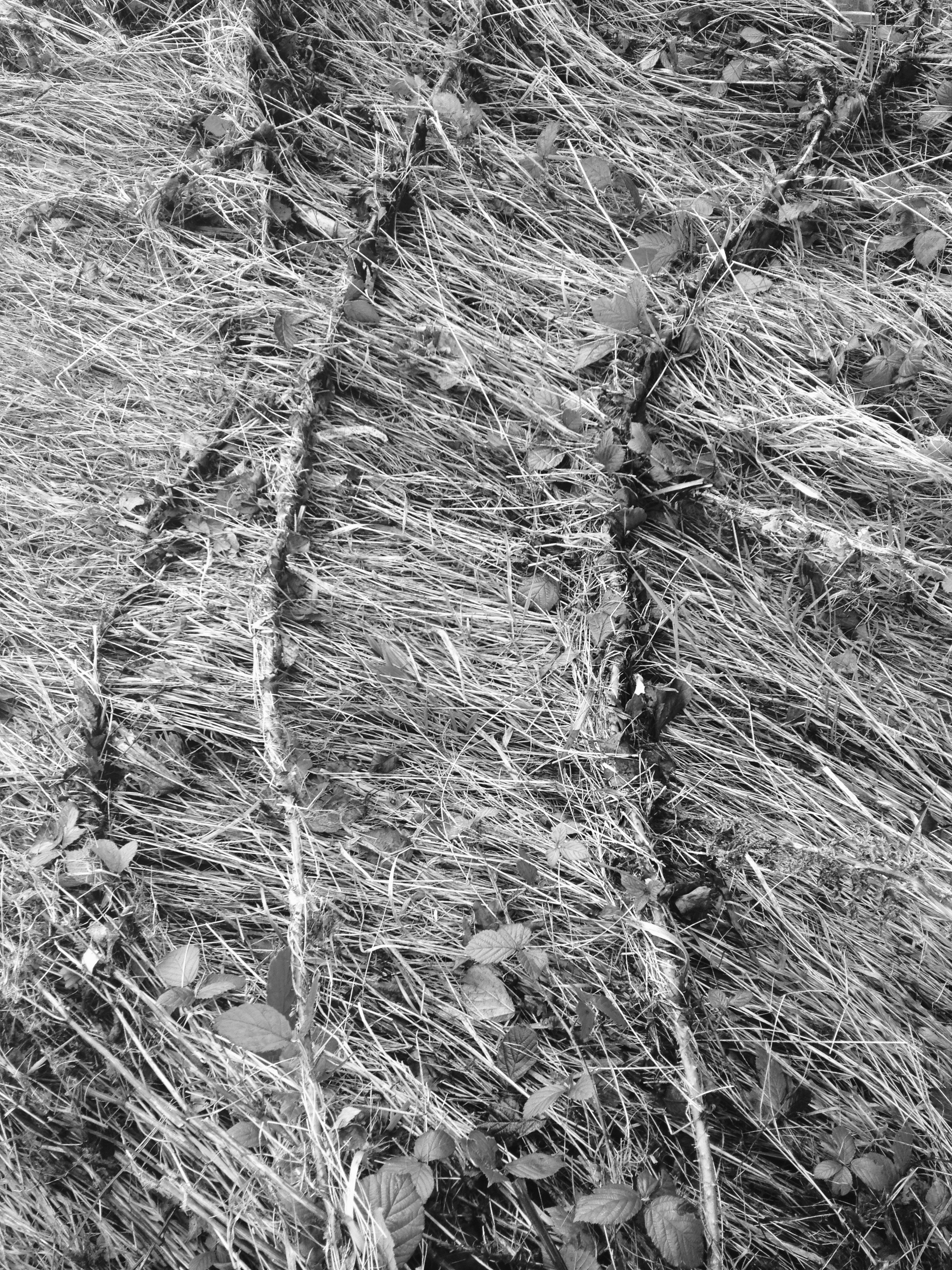 Image of work 1