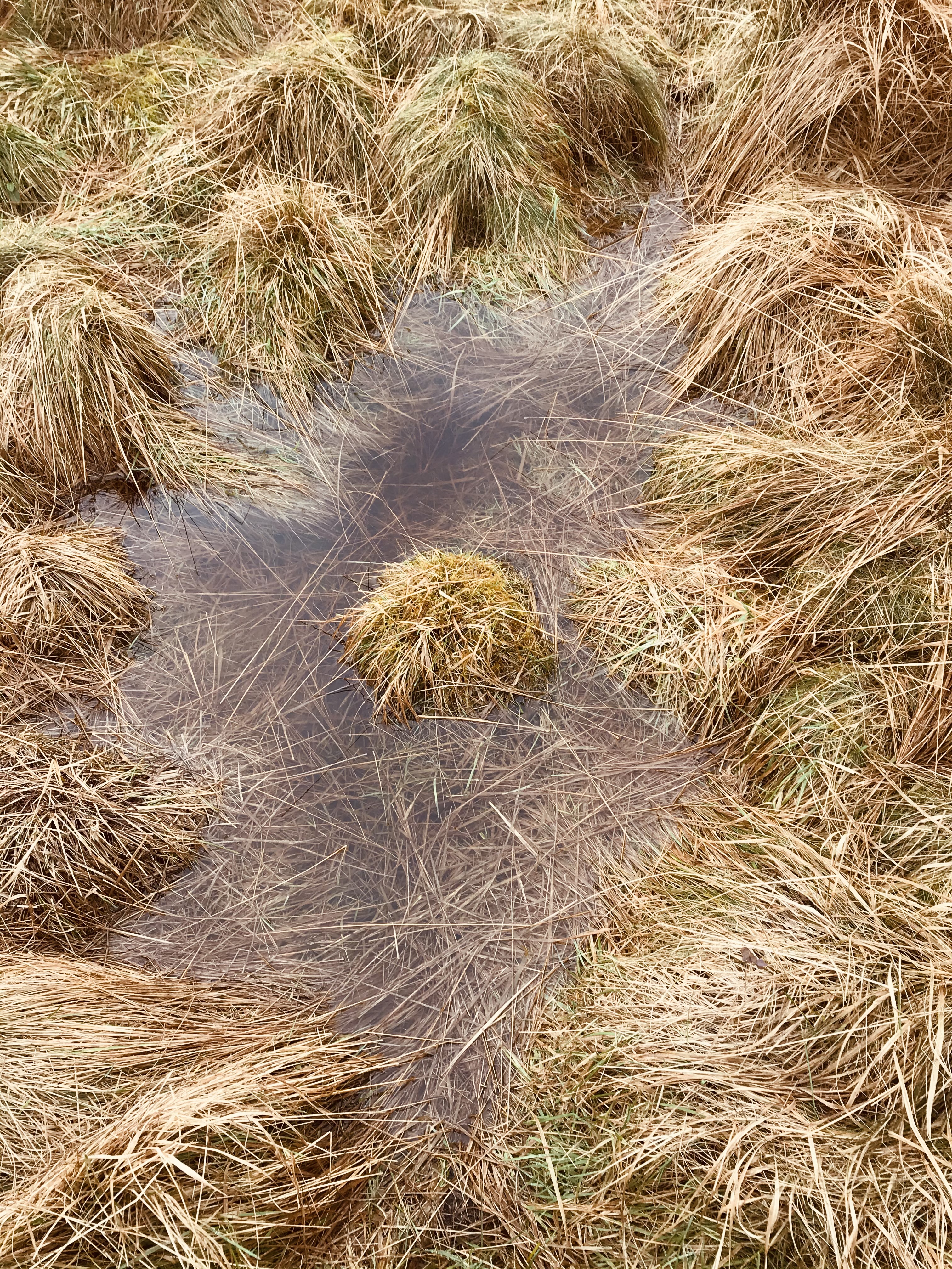 Image of work 2