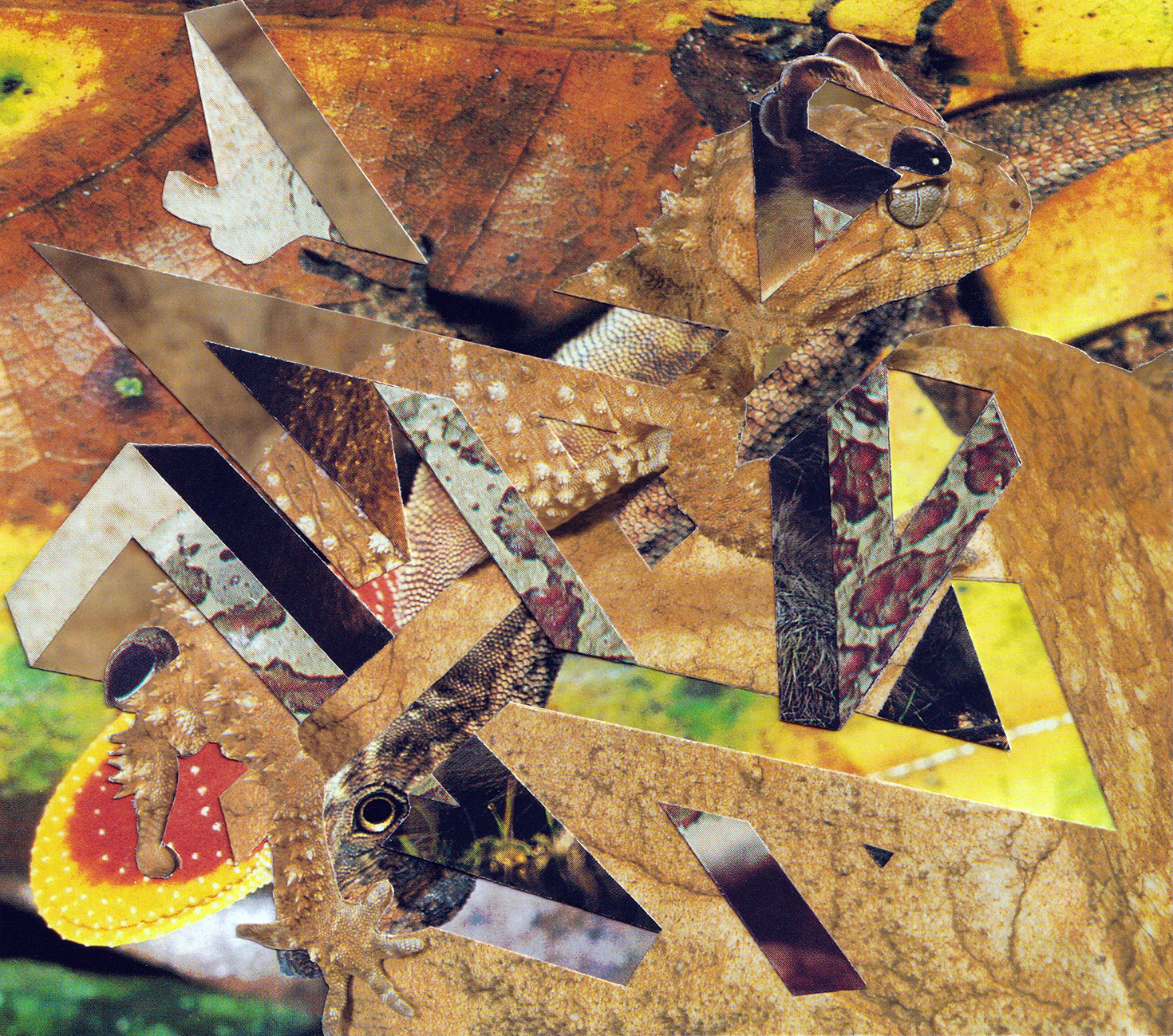 Carousel image 3